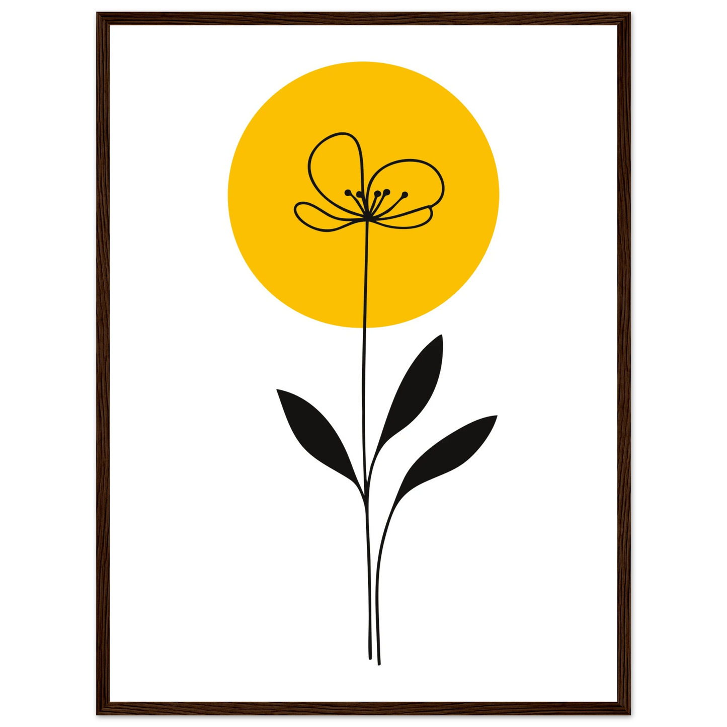 068bd8d8-6012-441a-86a9-a71888882024