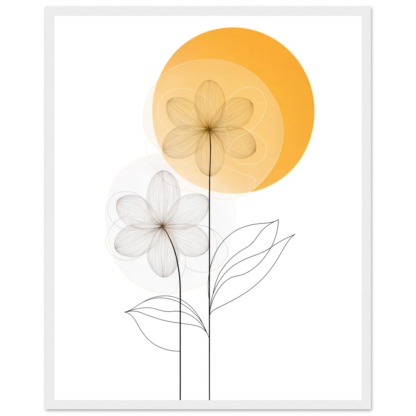 244d6fb7-cefc-443d-b4d8-bd63afcfc78a