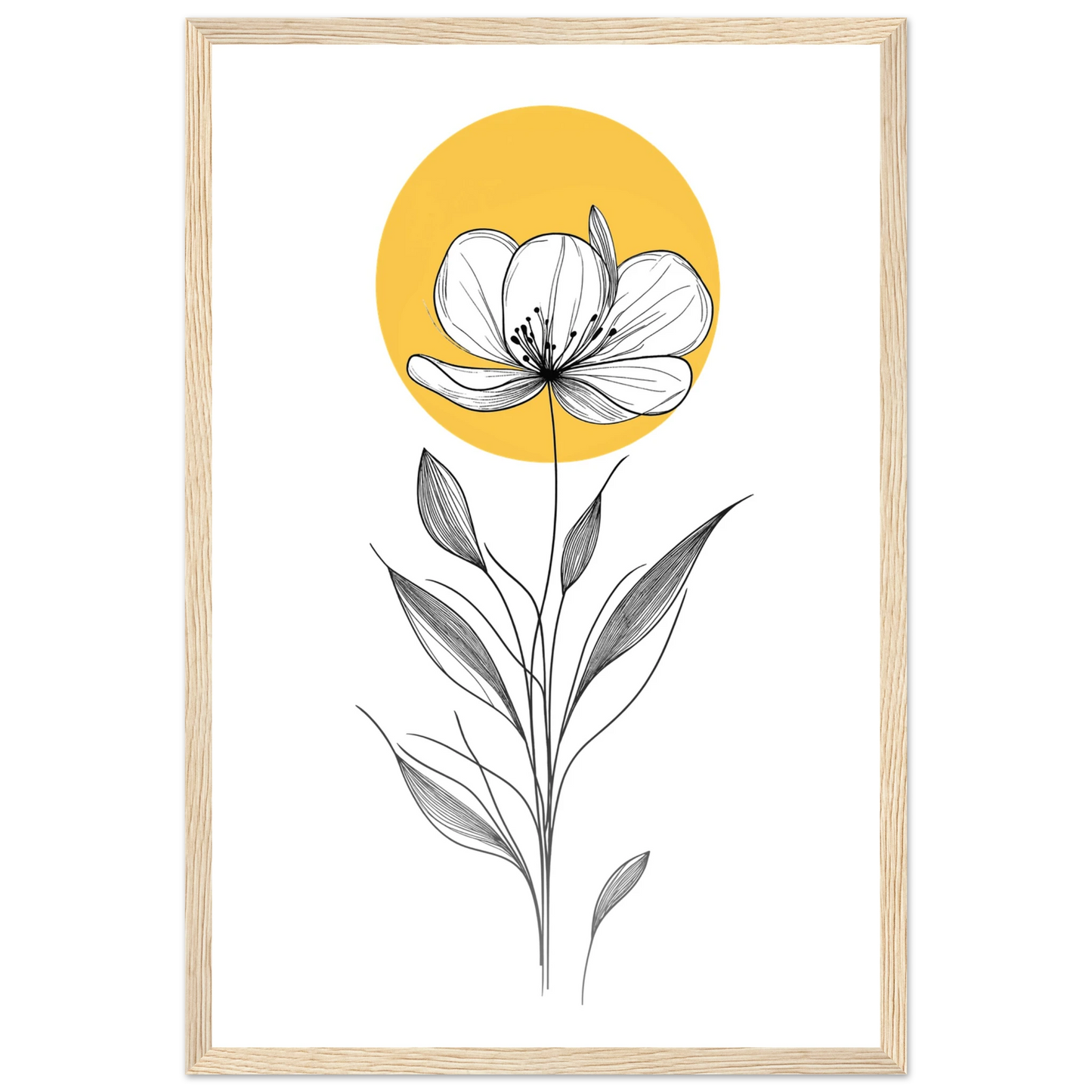 42a96951-679a-4839-9244-2de71fed36c3