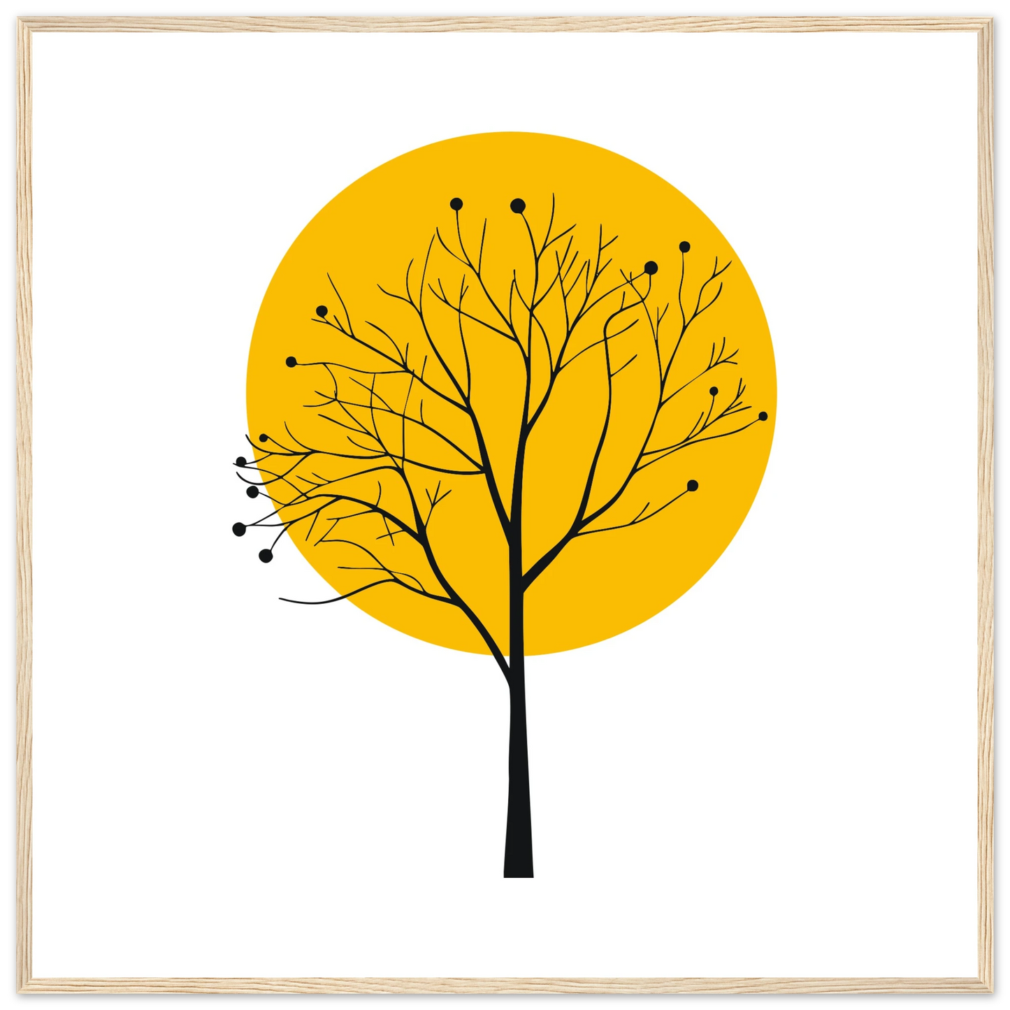 72fc9706-4274-464b-8434-a4511d56294e