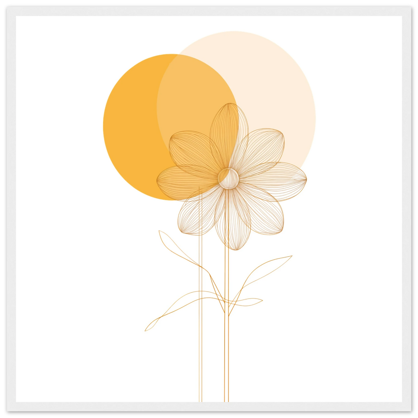 74c8c6f6-1229-4474-badb-e6f6273c0789