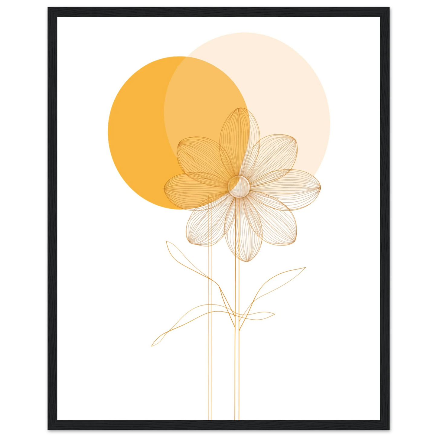 905a401f-ba5f-4377-b09b-0fa650c1ad4b