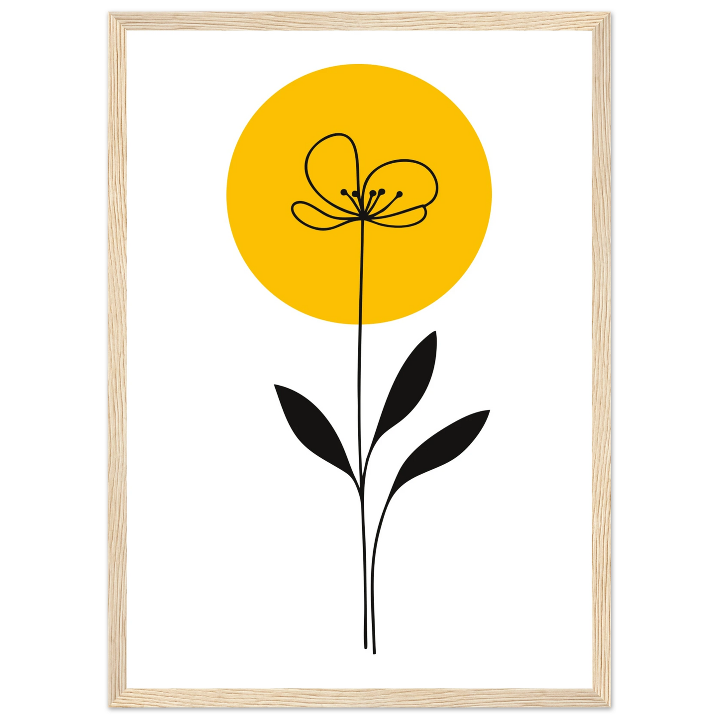 c8887754-4f51-446a-a2f6-bd54c4ff98f4