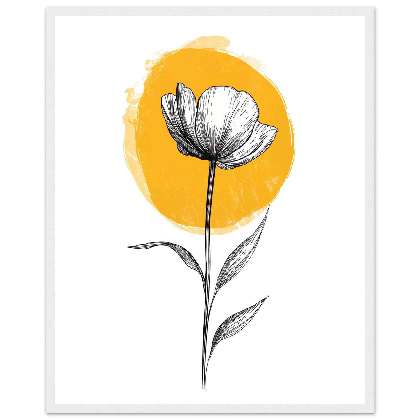 e34e5c77-8a72-498c-bb37-76694d219fa1